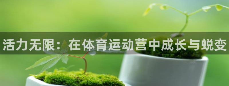 J9官网下载平台注册:活力无限:在体育运动营中成长与蜕变