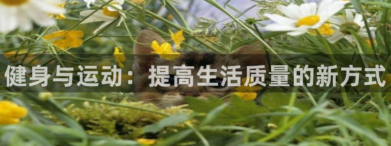 J9官方正版app集团:健身与运动:提高生活质量的新方式