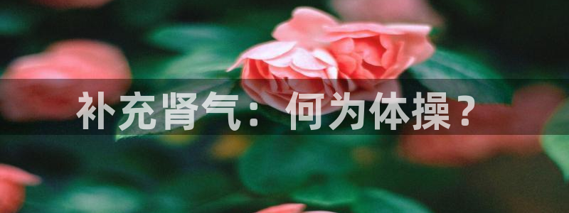 J9官方正版app集团官网首页网址:补充肾气:何为体操?