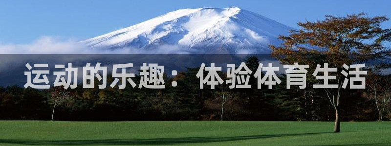J9官方正版app官方:运动的乐趣:体验体育生活