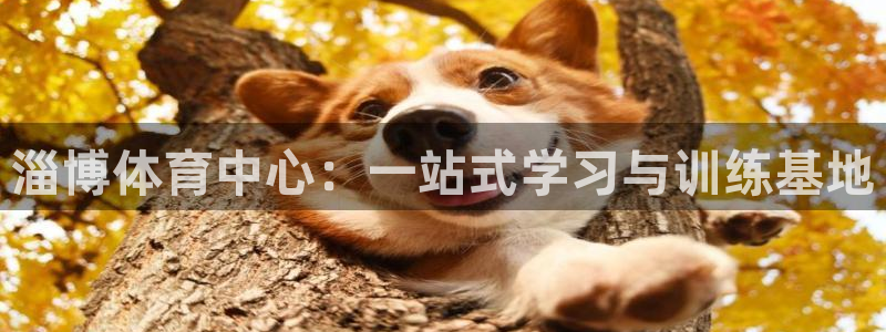 J9官网下载平台假的吗是真的吗吗:淄博体育中心:一站式学习与