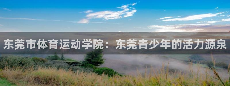 J9官方平台体育:东莞市体育运动学院:东莞青少年的活力源泉